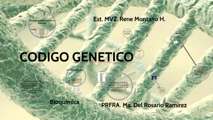 Codigo Genetico By Rene Montano Hernandez On Prezi 8515