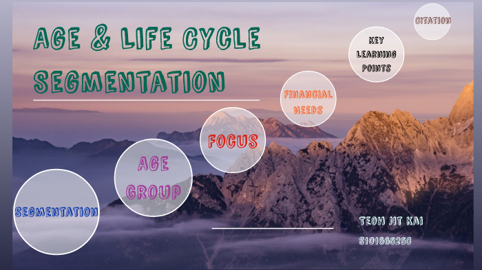 Life Cycle Segmentation Example