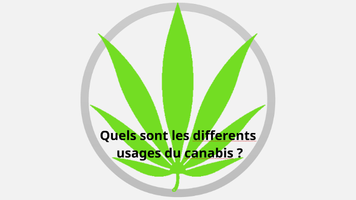 quels sont les differents usages du canabis ? by charlotte attele on Prezi