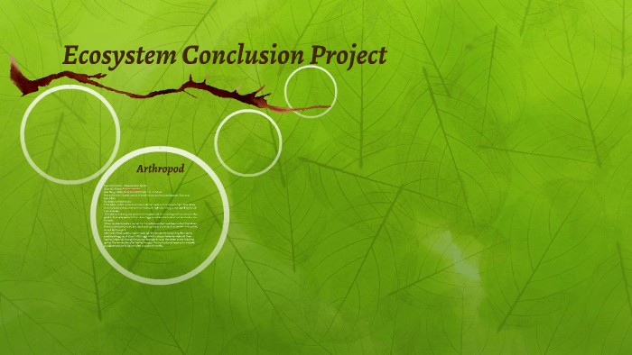 ecosystem essay conclusion