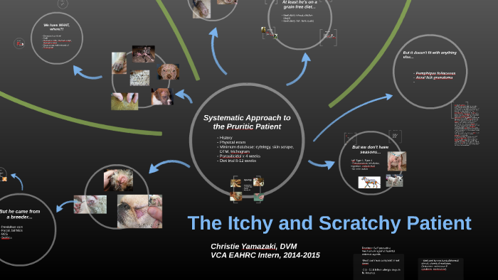 The Itchy and Scratch Patient by christie delan on Prezi