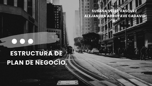 ESTRUCTURA DE PLAN DE NEGOCIO by susana VELEZ VASQUEZ on Prezi Design