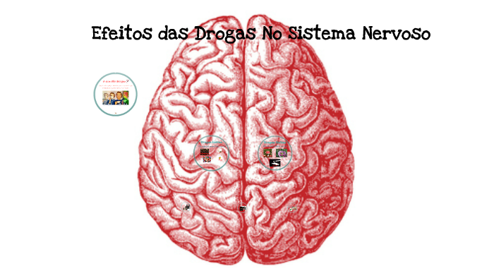 efeito das drogas no sistema nervoso by Izabela Morales on Prezi