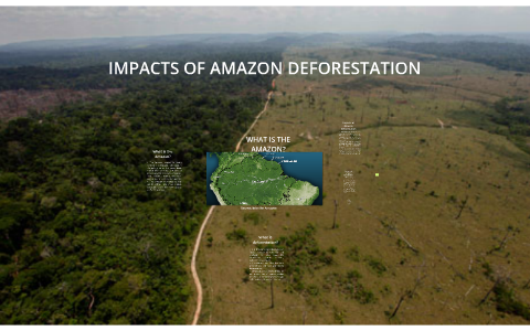 AMAZON DEFORESTATION - GLOBAL IMPACTS by Lívia Miranda