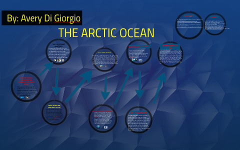 The Arctic Ocean by Avery Di Giorgio on Prezi