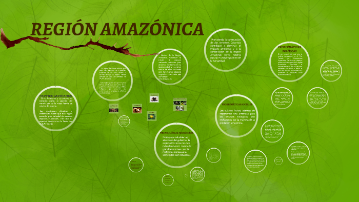 REGIÓN AMAZÓNICA by Tatiana Rivas Echavaria on Prezi