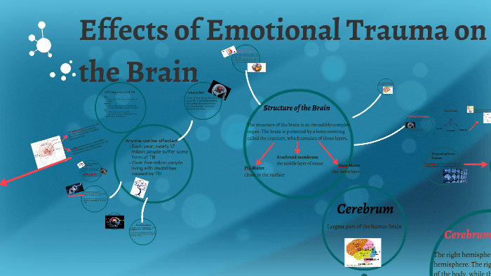 effects-of-emotional-trauma-on-the-brain-by-chelsey-hughes