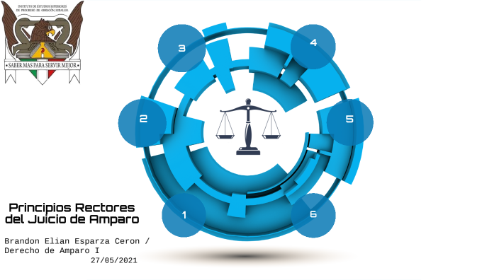 PRINCIPIOS RECTORES DEL JUICIO DE AMPARO By Brandon Elian Esparza Ceron