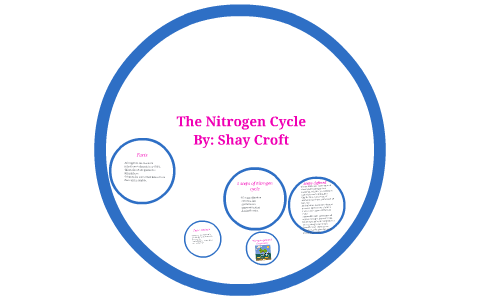 The Nitrogen Cycle by on Prezi