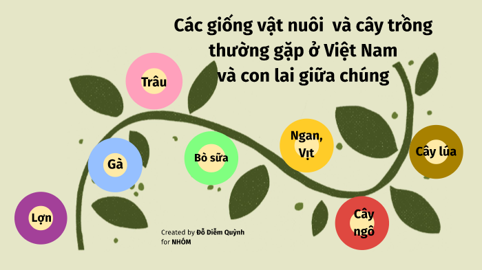 Các giống vật nuôi thường gặp ở VN by Quynh Do on Prezi