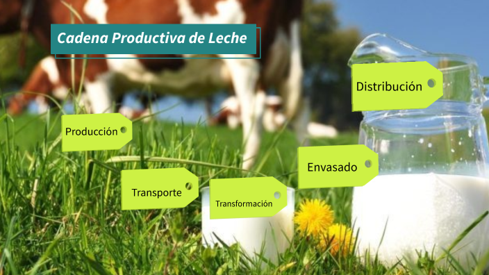 Cadena Productiva de la Leche by Adriana Tinajero on Prezi