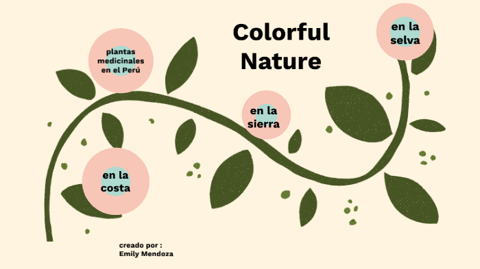 Plantas Medicinales By Emily Liliana Mendoza Padilla On Prezi Next