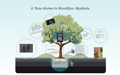 A Tree Grows In Brooklyn Symbols By Hailey Davis