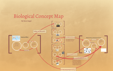 Biological Concept Map by Dana Segal on Prezi