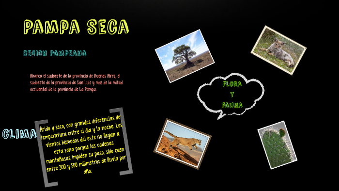 Pampa Seca by Milagros Rodriguez on Prezi