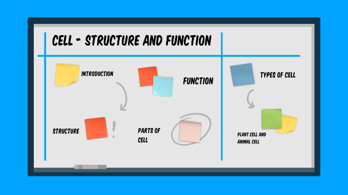 Chapter 8 CELL- Structure and Function by Neel Shah on Prezi