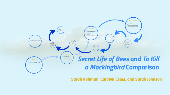 compare and contrast essay to kill a mockingbird and the secret life of bees