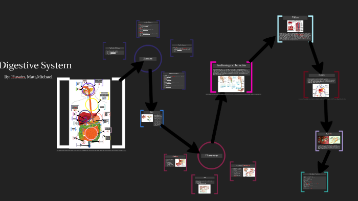 Digestive System by Anna Pannu on Prezi