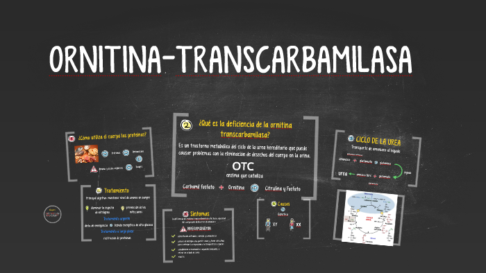 Ornitina-transcarbamilasa by peppa pig on Prezi