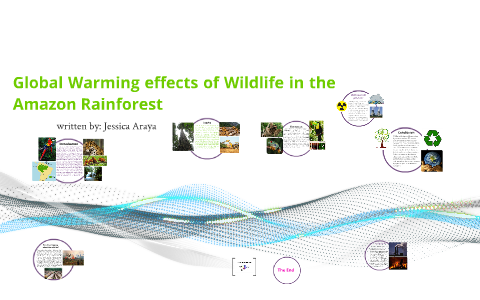 Wildlife in the Amazon Rainforest by jessica araya on Prezi