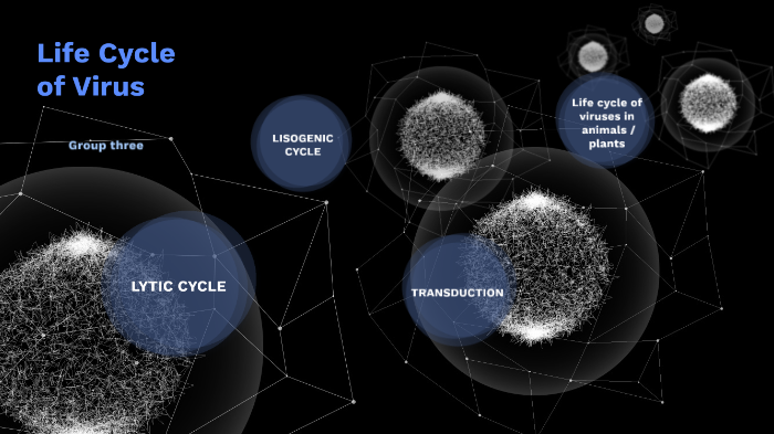 Life cycle of virus by zuhair nashif on Prezi