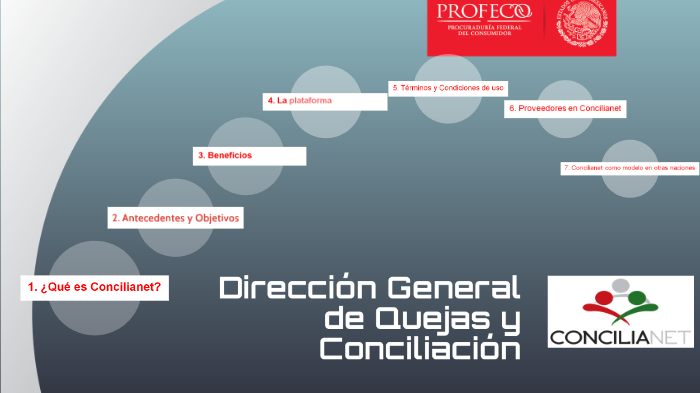 Direccion General De Quejas Y Conciliacion Profeco