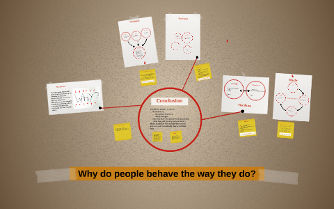 Why do people behave the way they do? by Evi Van Herreweghe on Prezi