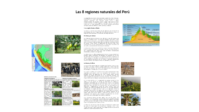Las ocho regiones naturales del Perú by Daniel Perea Vivanco on Prezi