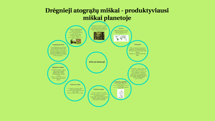 Drėgnieji Atograzų Miskai Produktyviausi Miskai Planetoje By Ignas Bucinskas