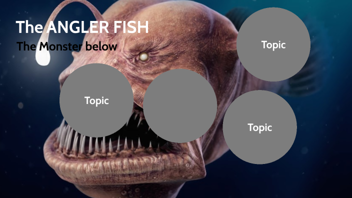 The ANGLER FISH by Elizabeth Bondio on Prezi
