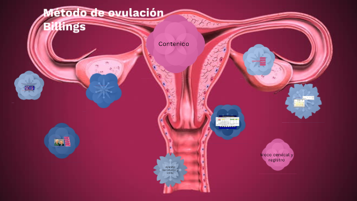 Método De Ovulación Billings By Marisela Marin 1547