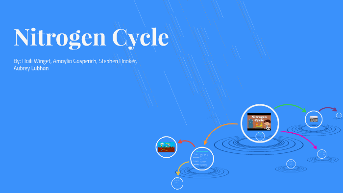 Nitrogen Cycle by haili winget on Prezi