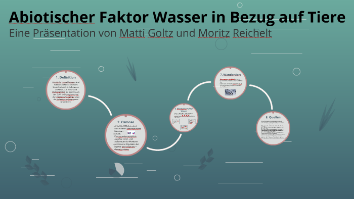 Wasser Als Abiotischer Faktor Abiotischer Faktor Wasser in Bezug auf Tiere by Moritz ^Reichelt on Prezi