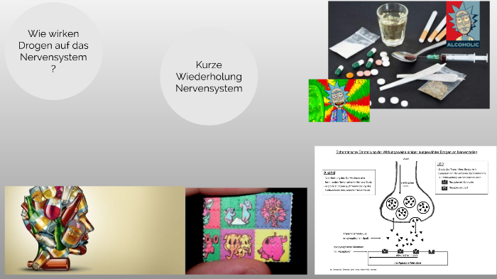 Drogen Wirken Auf Das Nervensystem Wie wirken Drogen auf das Nervensystem V2 by Mok Tesch on Prezi