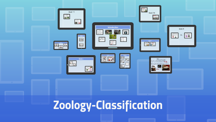 Zoology-Classification By Megan Tanner