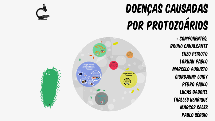 Doenças causadas por protozoários by Bruno Cavalcante on Prezi