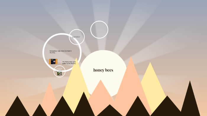 honey bees by cindy cook on Prezi