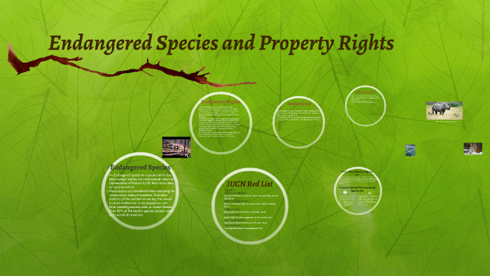 Picture of Endangered Species and Property Rights by molly newton on Prezi