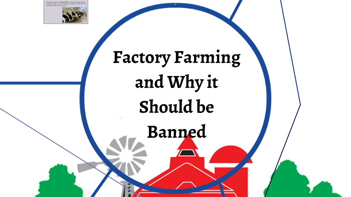  Ban Factory Farming: Debating the Ethical Impact