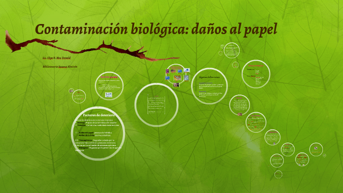 Contaminación Biológica Daños Al Papel By Olga Mac Donald 3097