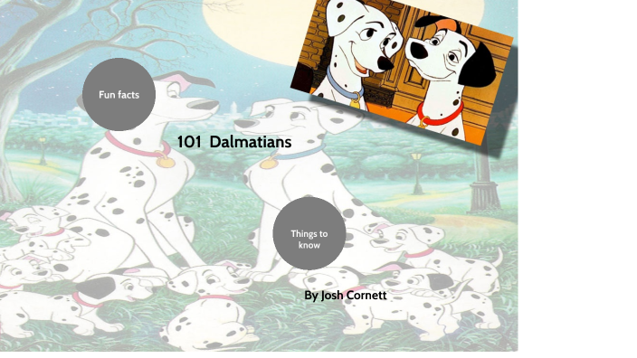 Surprising Facts About the Film '101 Dalmatians