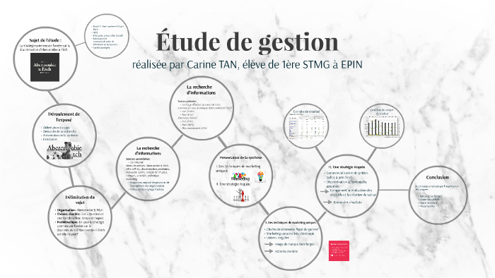 etude de gestion  carine tan