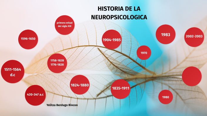 Historia De La Neuropsicología By Yelitza Berdugo On Prezi