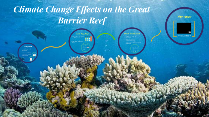 Climate Change Effects on the Great Barrier Reef by Anyah Sims on Prezi
