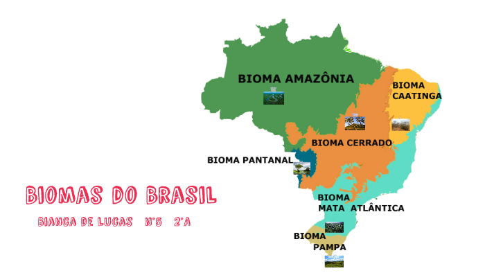 Biomas do Brasil by Bianca de Lucas on Prezi