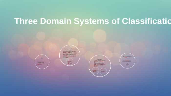Three Domain System