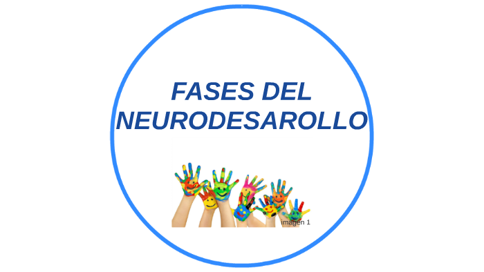 Fases Del Neurodesarrollo By Wilfran Norato Buitrago On Prezi 9033