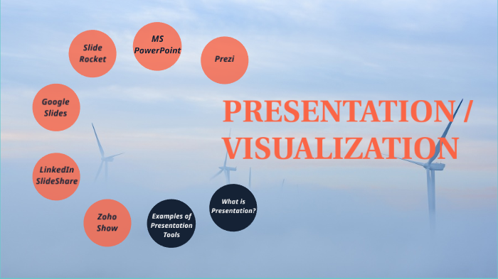 description of presentation or visualization brainly