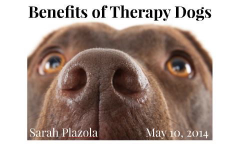 what are the benefits of therapy dogs