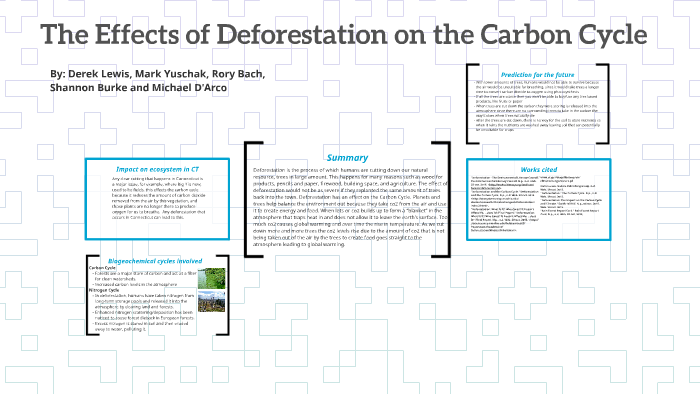 The Effects of Deforestation on the Carbon Cycle by Rory Bach on Prezi